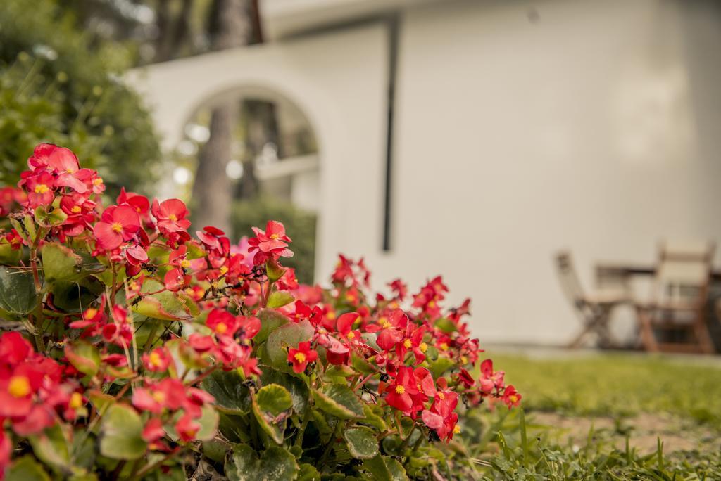 Beautiful Holiday Villa In Sani Sani  Eksteriør bilde